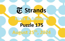 Strands NYT Answers Today: August 25, 2024 img